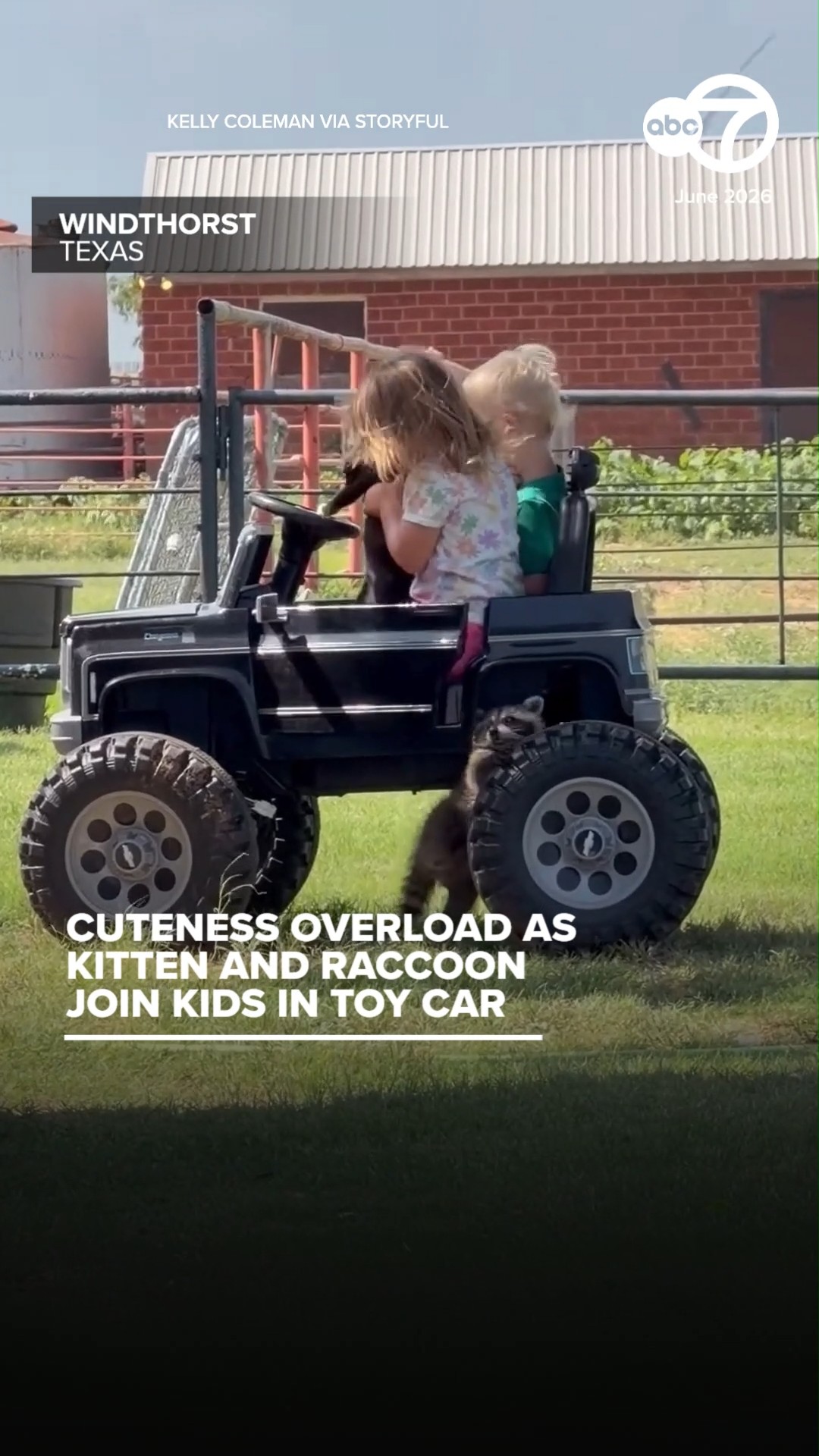 Cuteness Overload as Kitten and Raccoon Join Kids in Toy Car