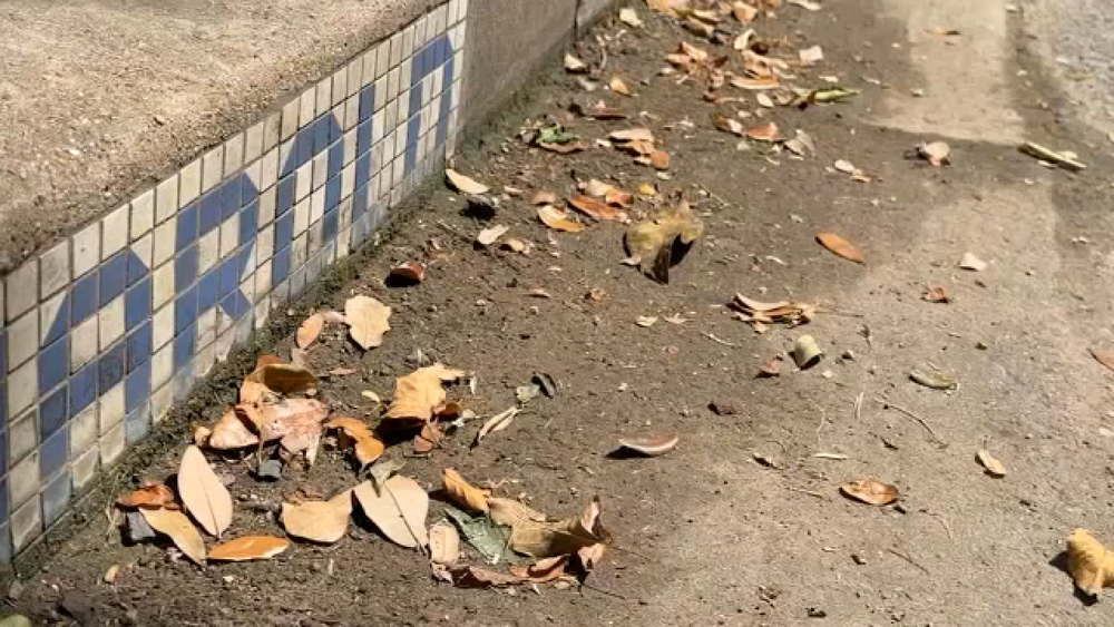 History of blue-and-white street tiles giving Houston some curb appeal