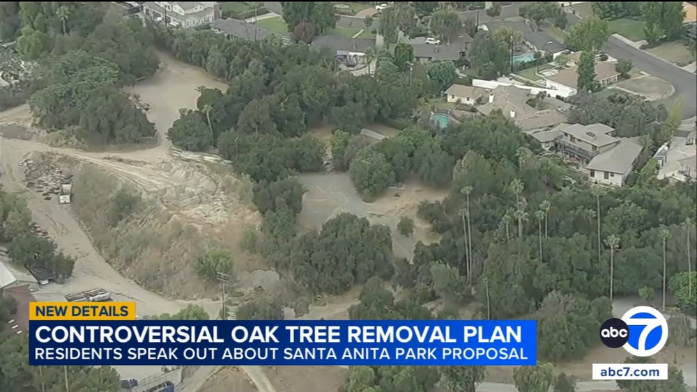 Arcadia residents push back on oak tree removal for 2028 Olympics
