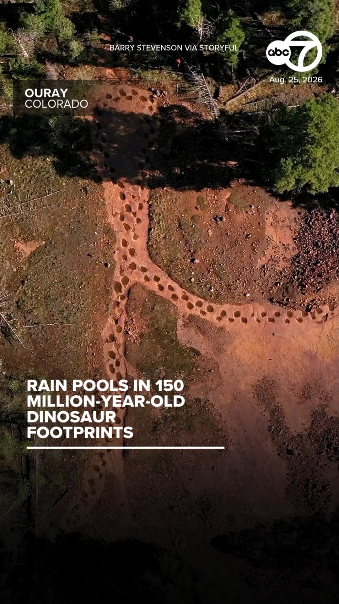 Rain pools in 150 million-year-old dinosaur footprints in Colorado