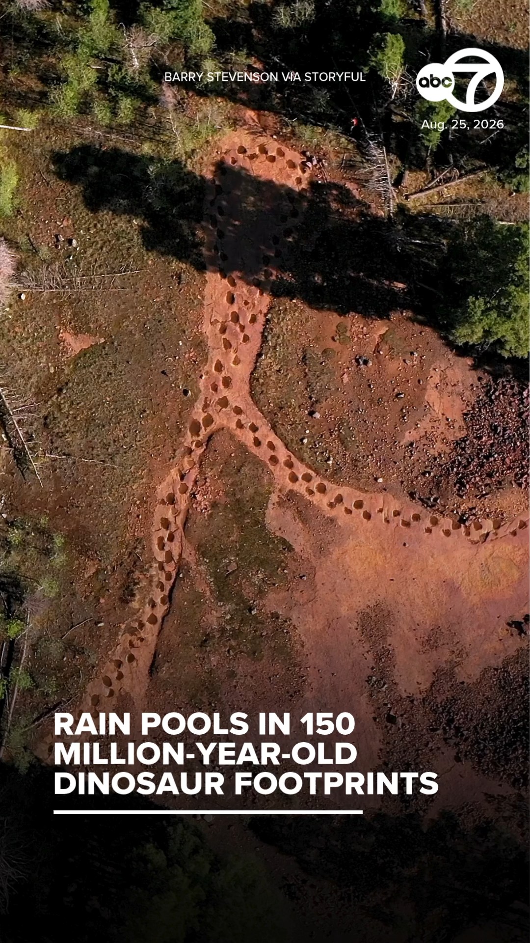Rain pools in 150-million-year-old dinosaur footprints