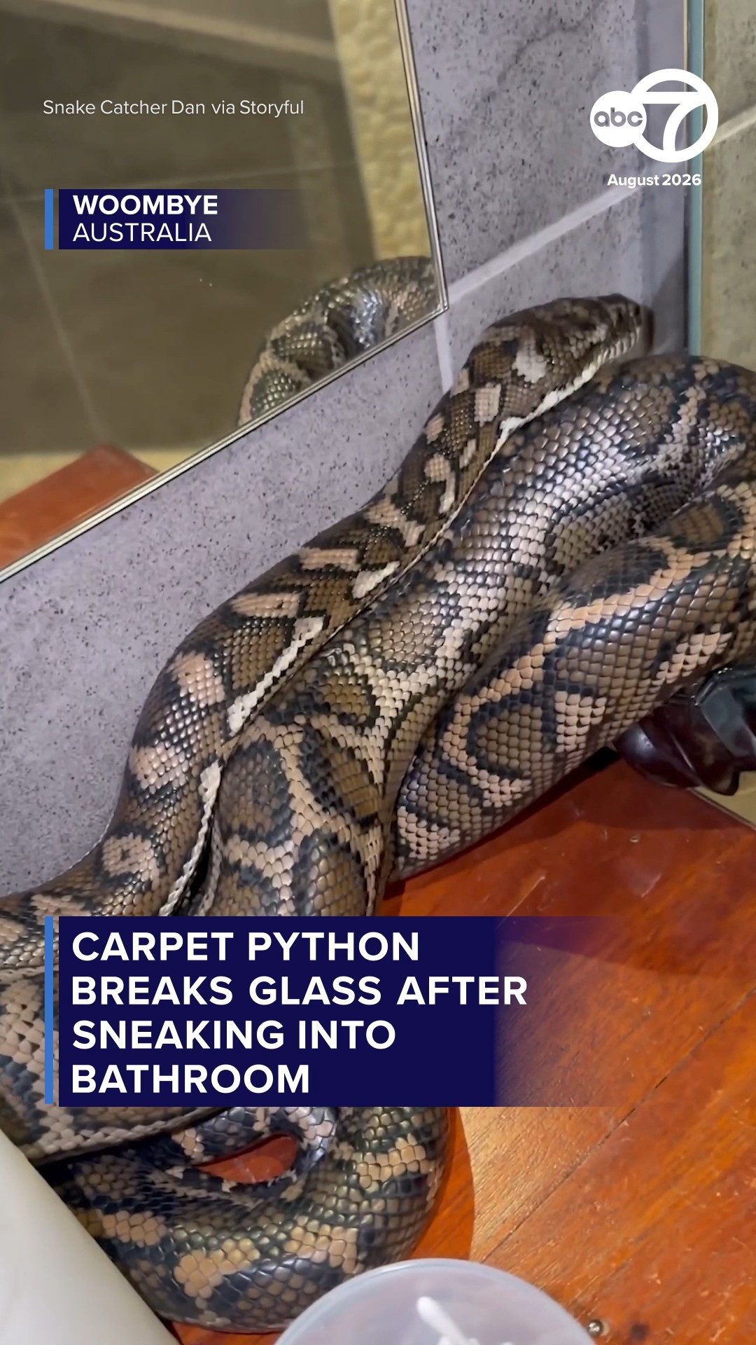 Carpet python breaks glass after sneaking into bathroom