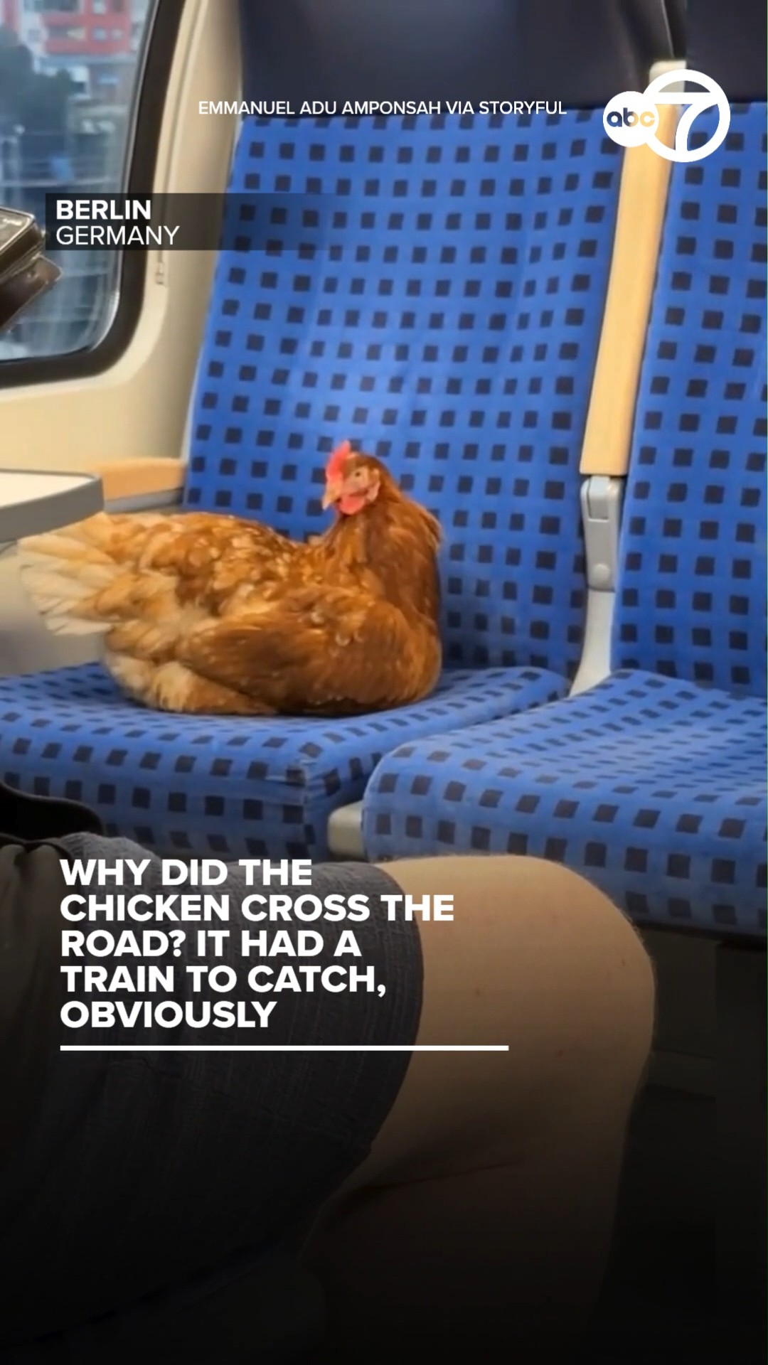 Why did the chicken cross the road? It had a train to catch, obviously