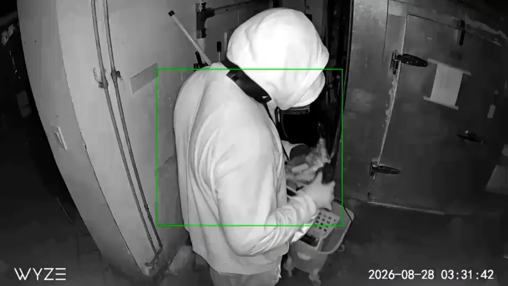 Thieves break into several Brooklyn restaurants overnight