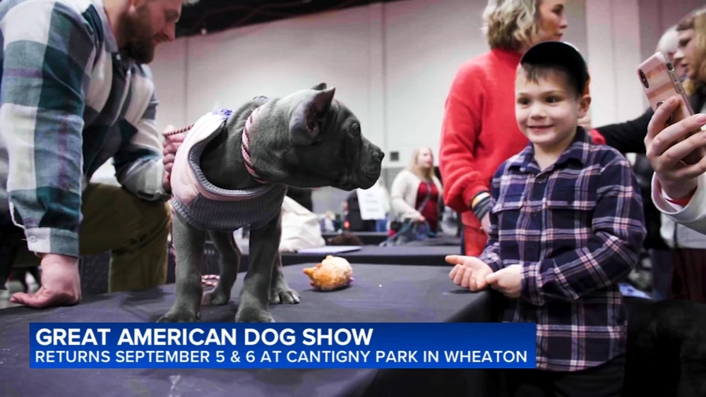 Great American Dog Show returns to Wheaton