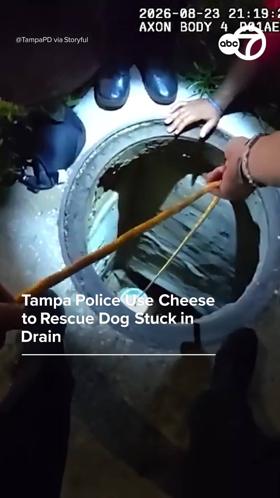 Tampa police use cheese to rescue dog stuck in drain
