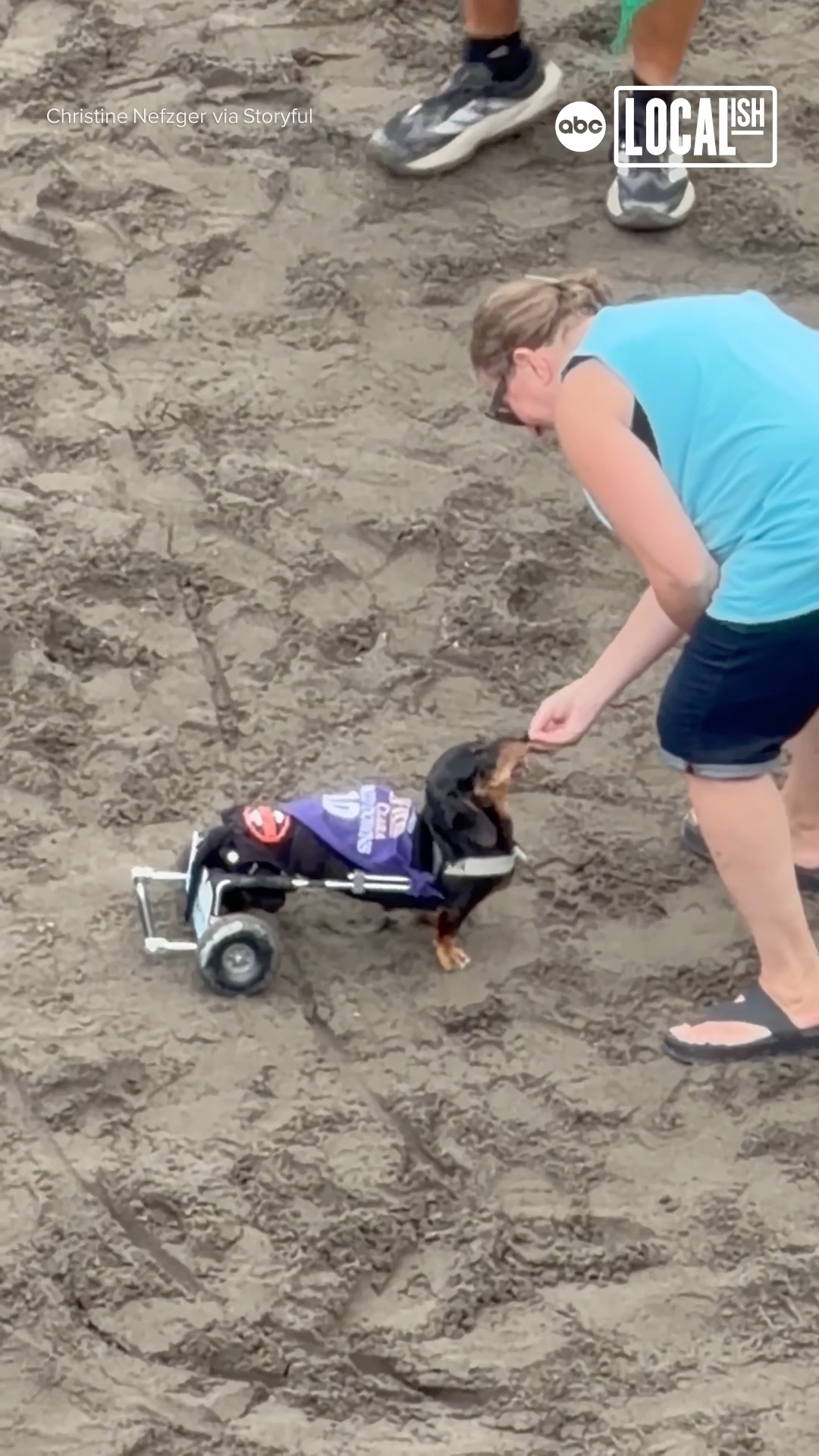This determined puppy stole hearts on the way to the finish line.