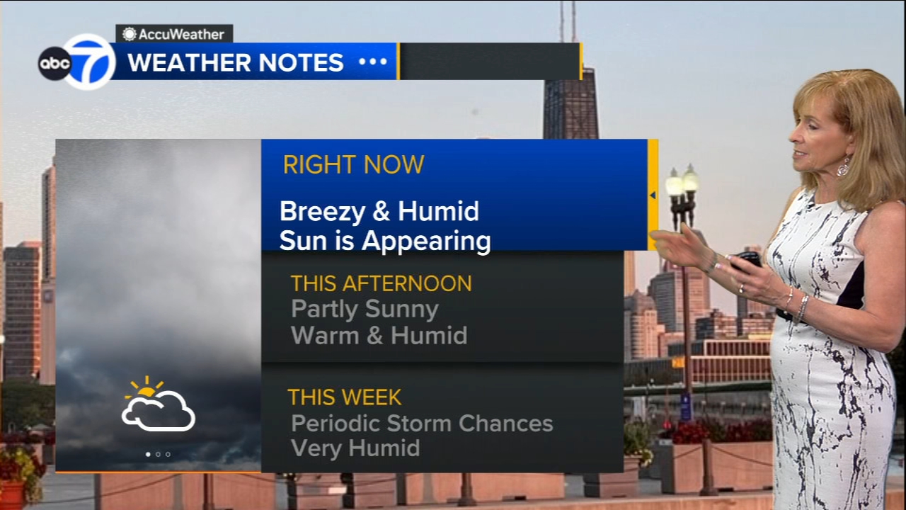 ABC7 AccuWeather Forecast