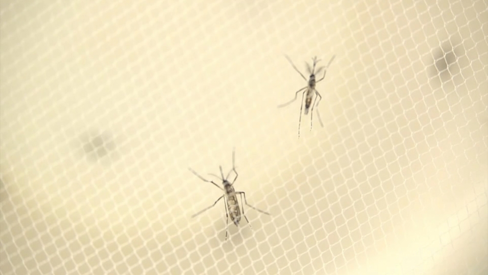 4 human cases of West Nile virus confirmed in Cook County