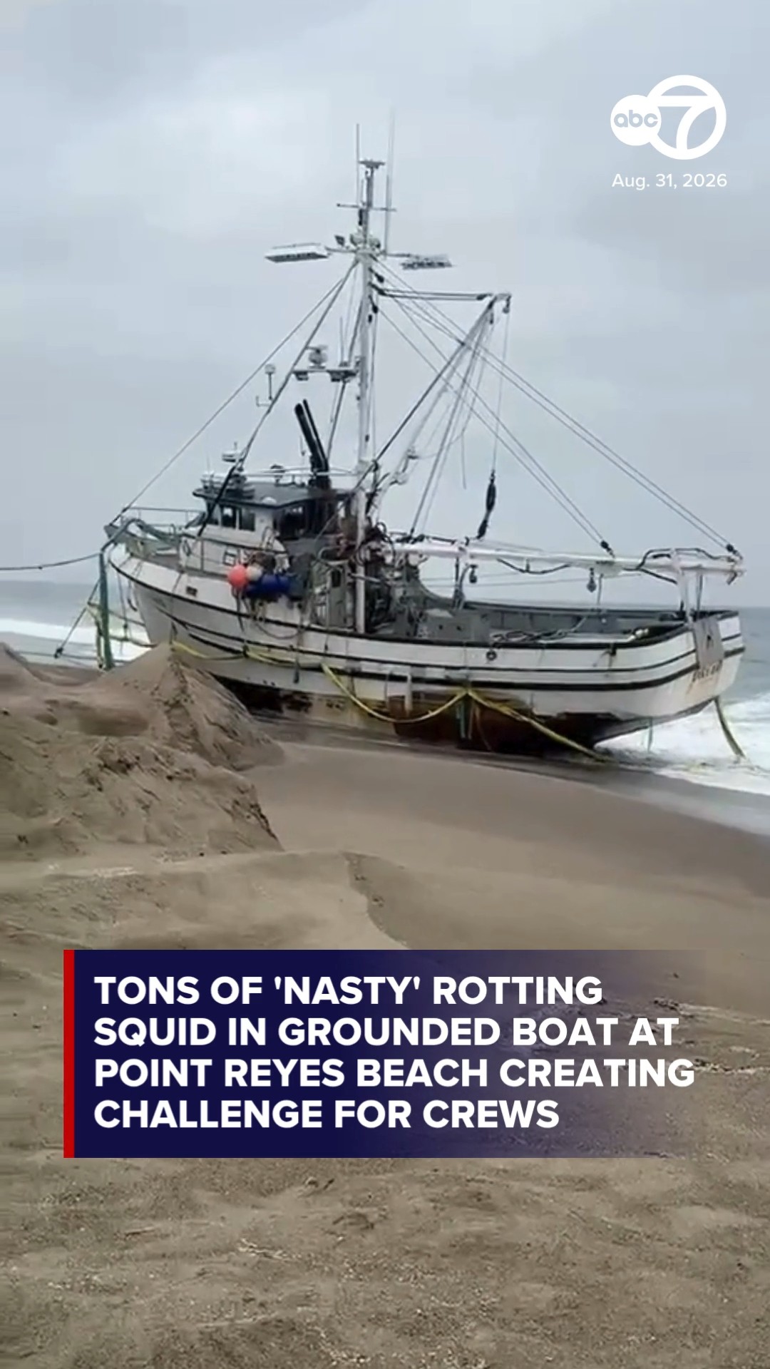 Removing boat with 'nasty' rotting squid at Point Reyes is a challenge