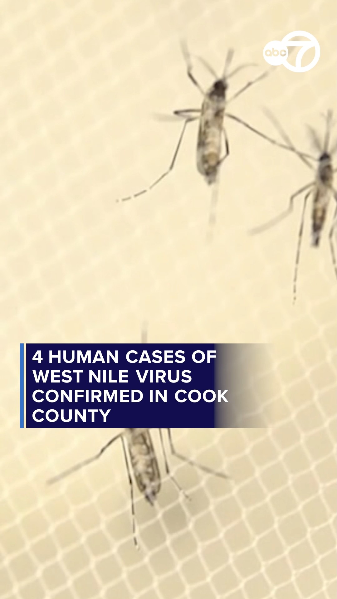 4 human cases of West Nile virus confirmed in Cook County
