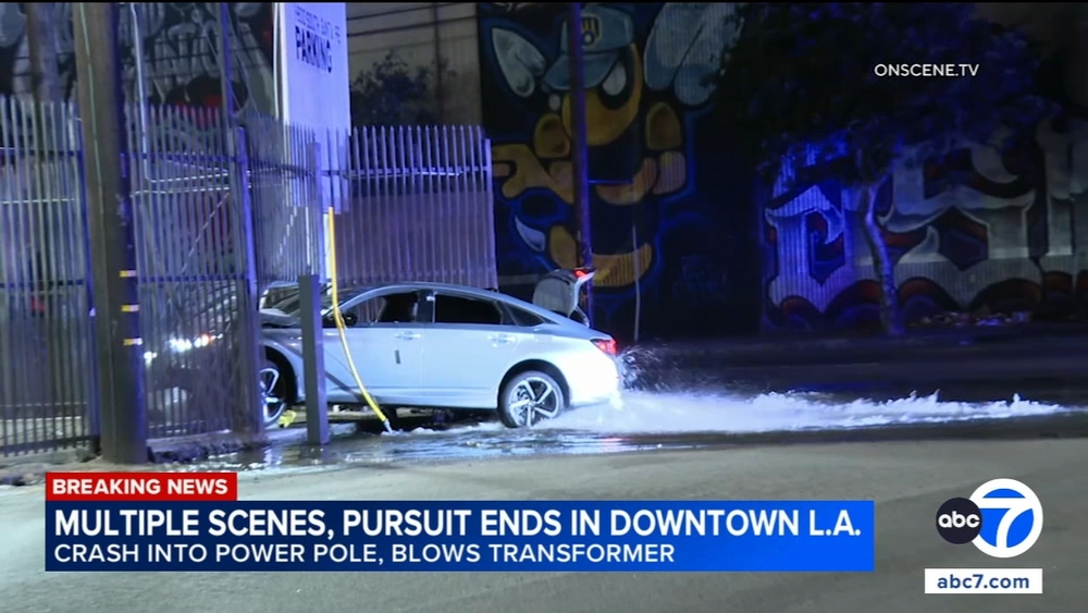 Multiple scenes, chase ends in downtown LA