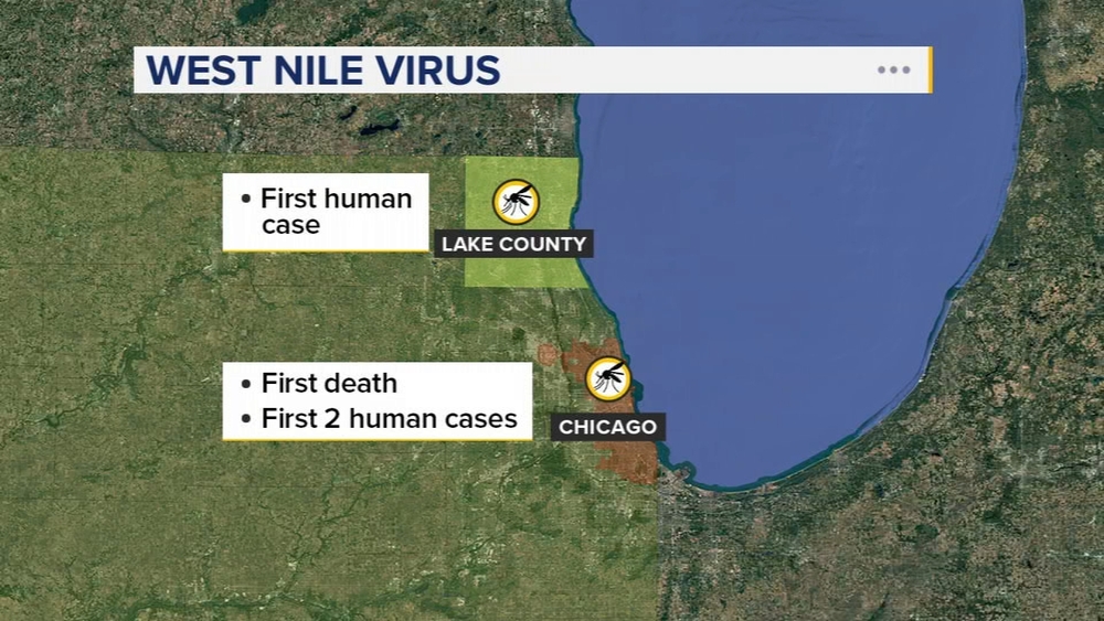 Person dies from West Nile virus in Chicago, health officials say