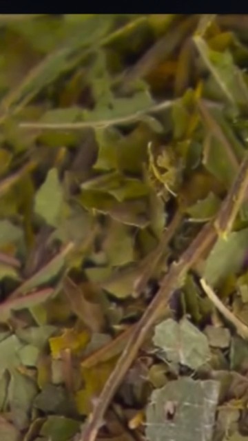 West suburban city council votes to ban kratom sales
