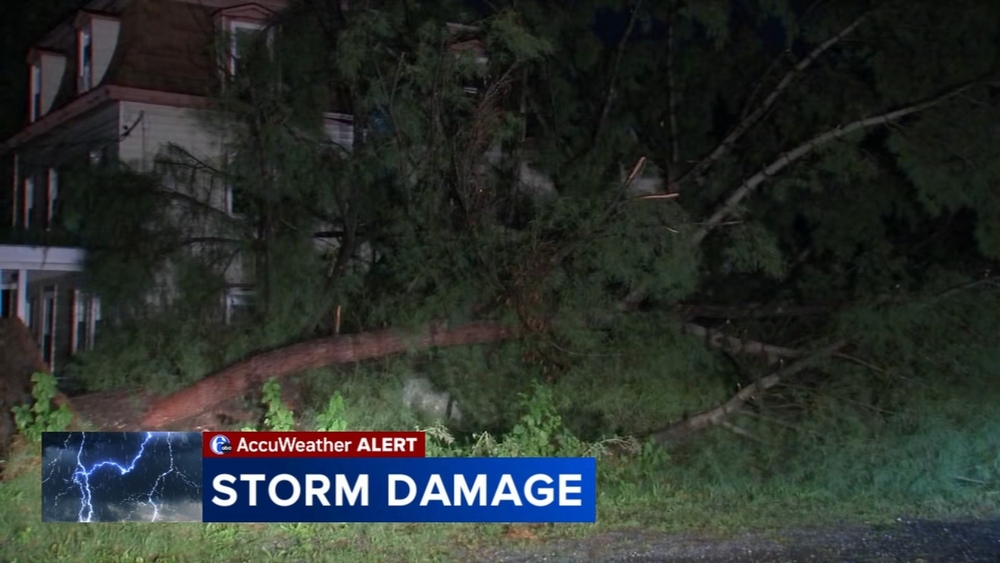 Severe storms bring down trees, bring halt to Bruno Mars concert