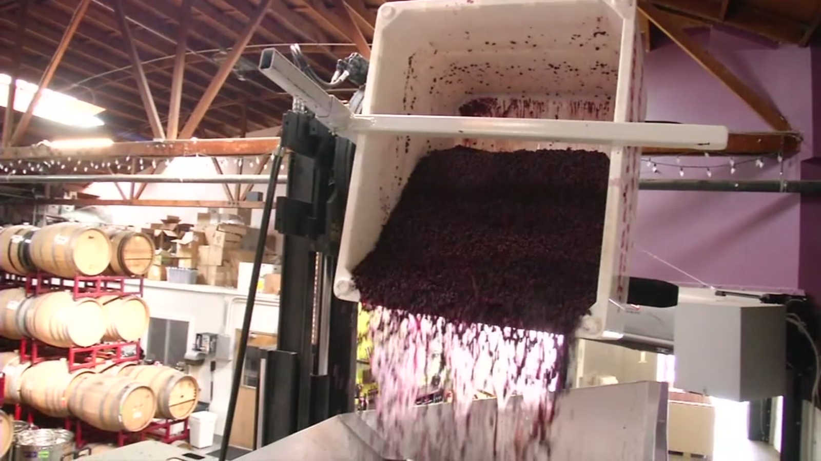 New uses found for winery waste in California ABC7 San Francisco