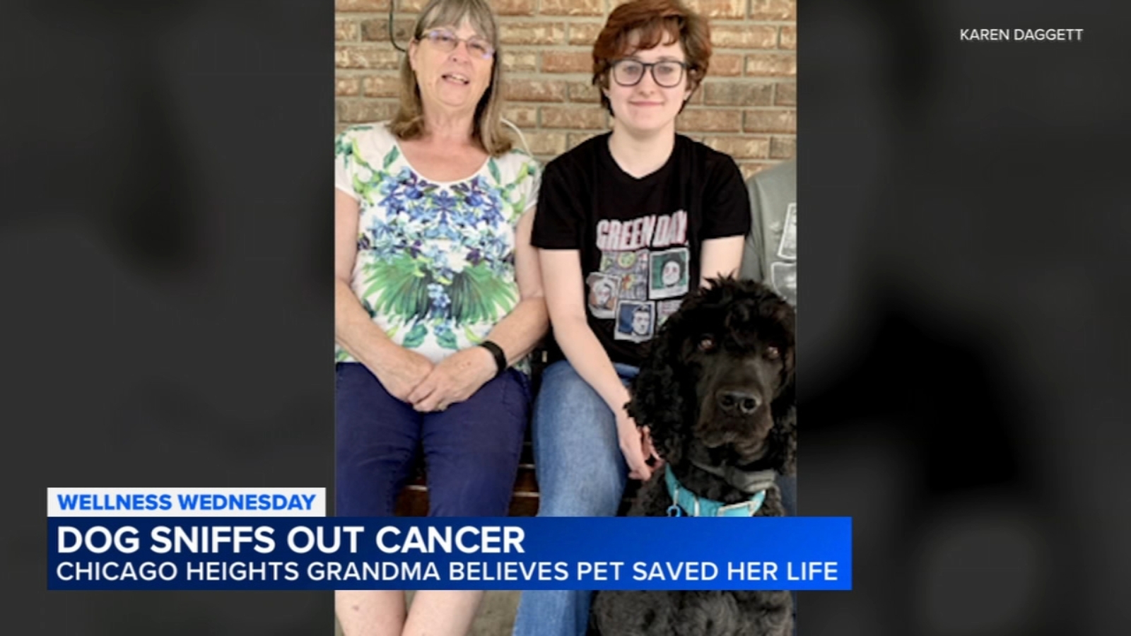 Suburban grandma says dog sniffed her cancer, ultimately saved her life