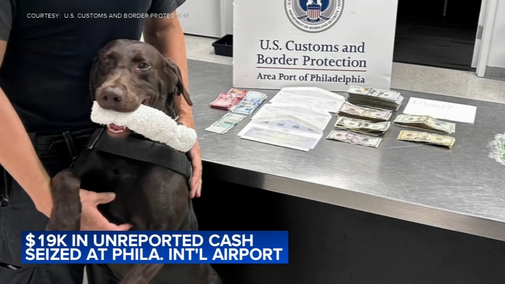 K-9 credited with seizure of $19,000 in unreported cash at Philadelphia International Airport