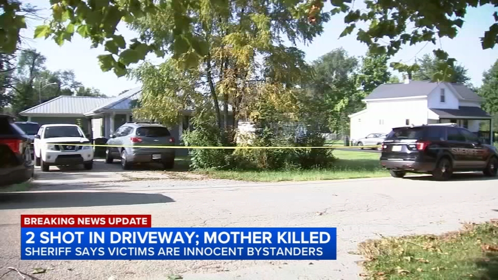 Neighbors stunned after mother killed in Lockport Township shooting
