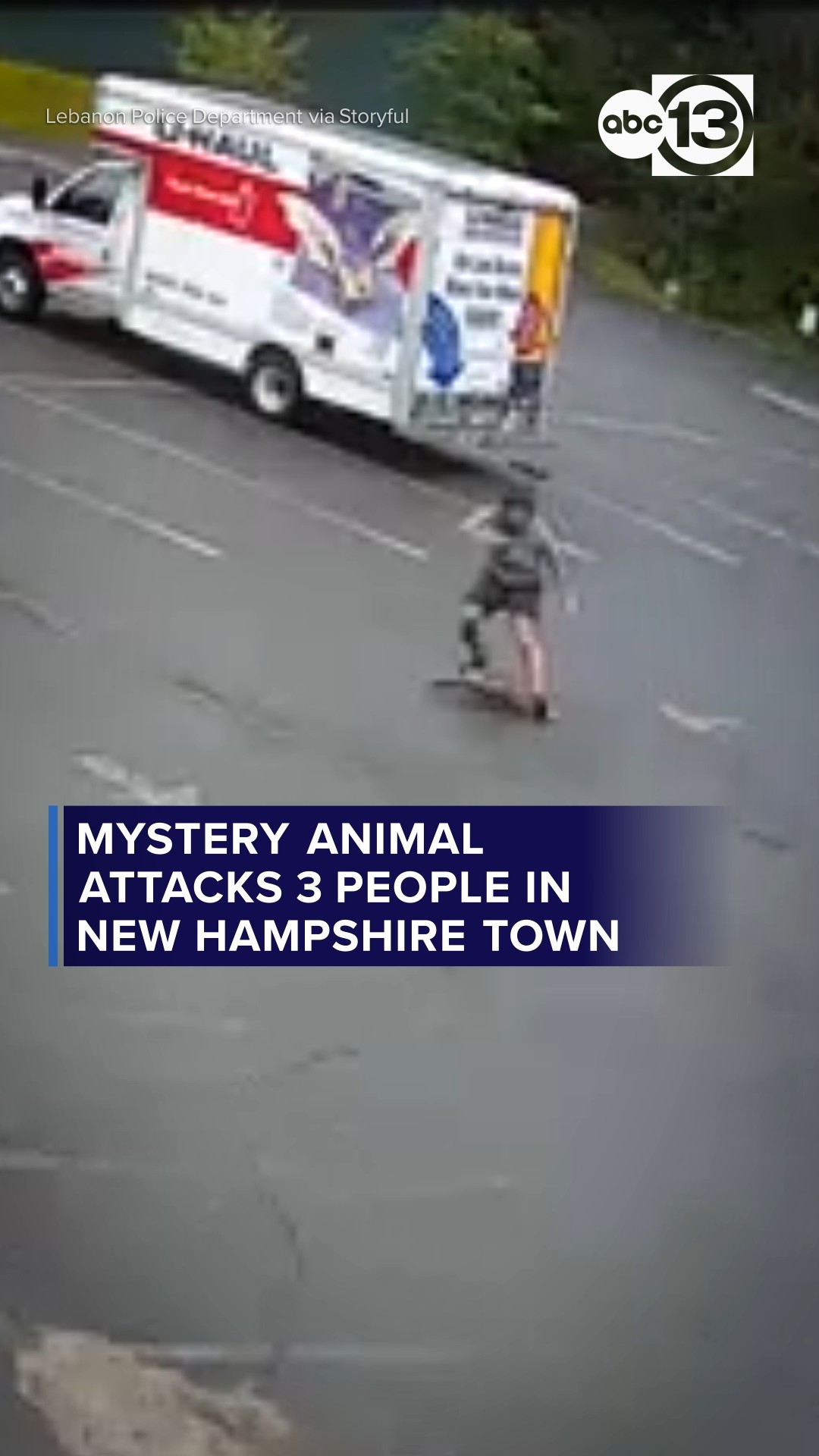 Mystery animal attacks 3 people in New Hampshire town