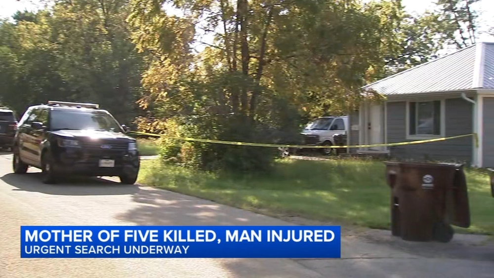 Mother of 5 killed in south suburban shooting, 2nd bystander wounded