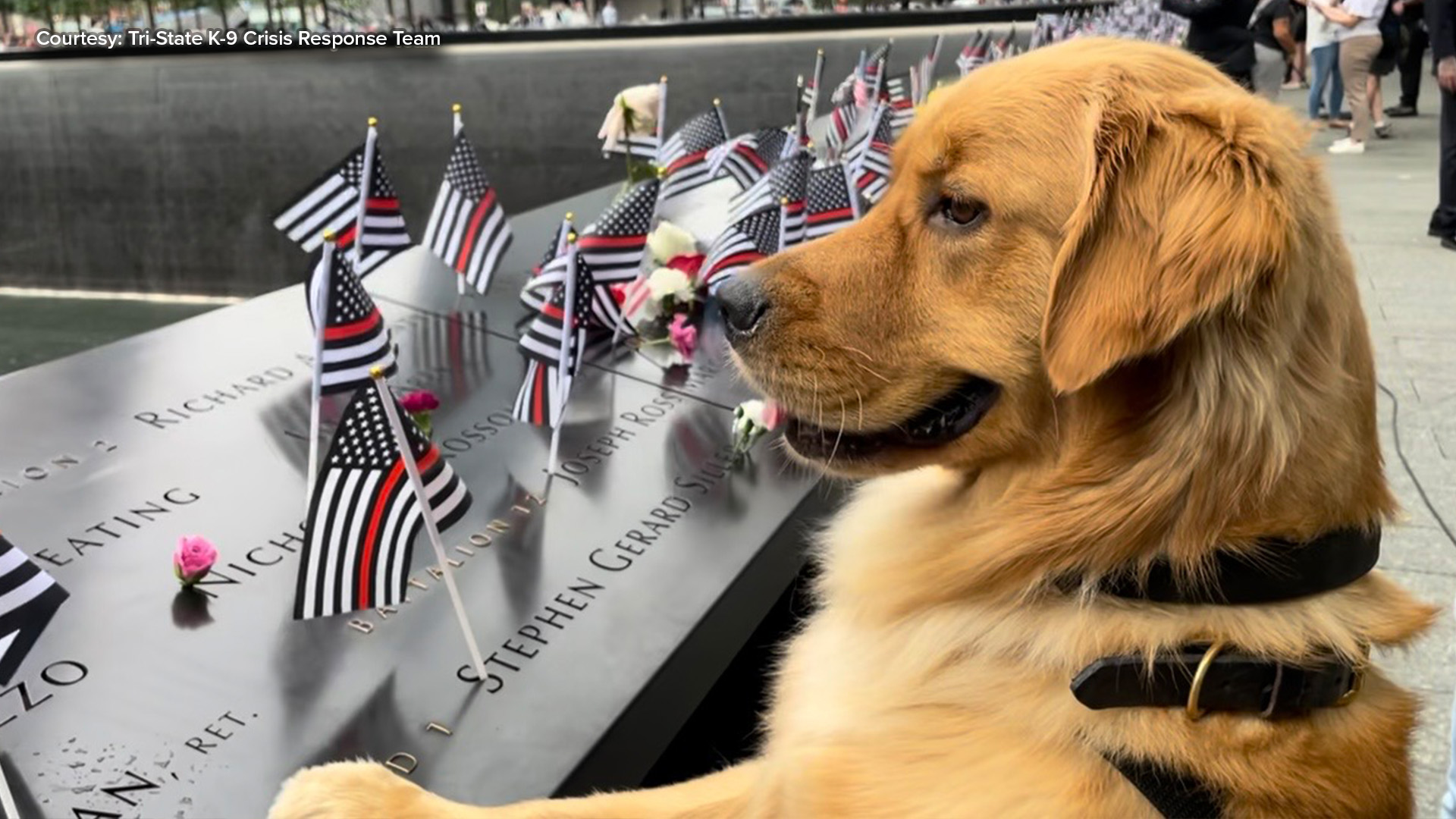 Crew of K-9s prepares for annual visit to 9/11 memorial