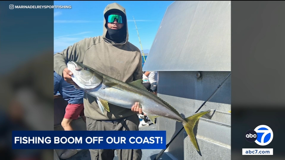 Warm ocean waters bring unusual fishing boom off SoCal coast