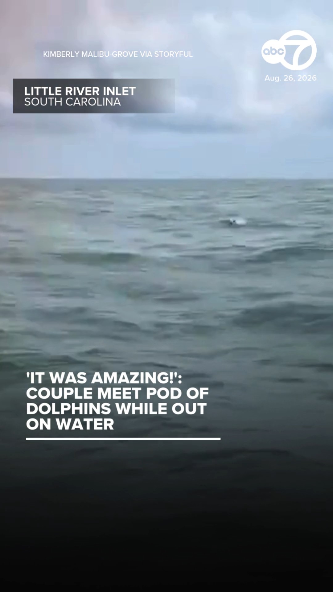 Couple Meet Pod of Dolphins While Out on Water