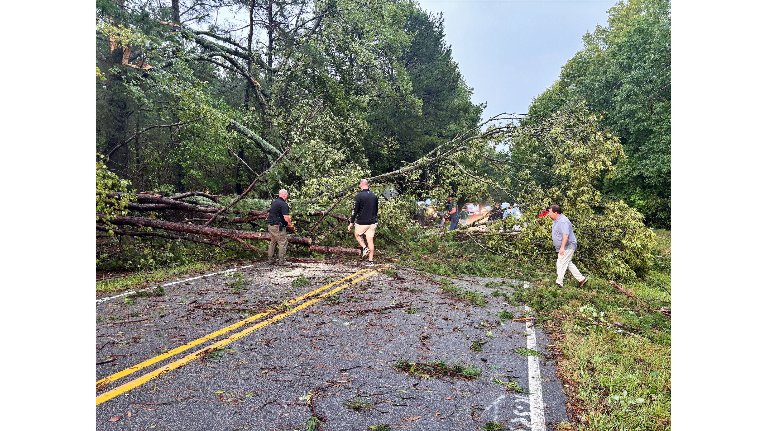 Community members helping to clear trees from road.
