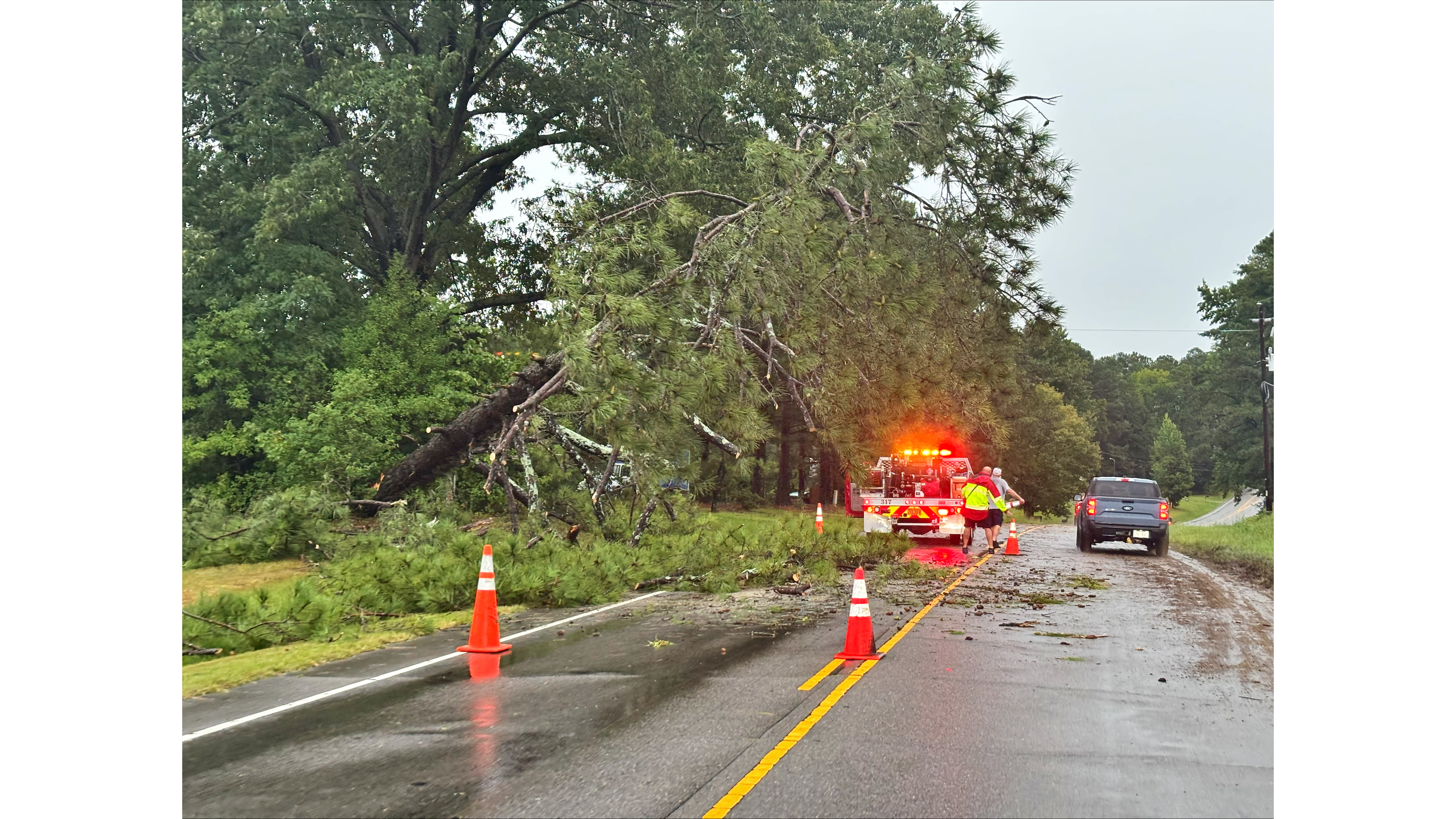 Tree hanging over power line.