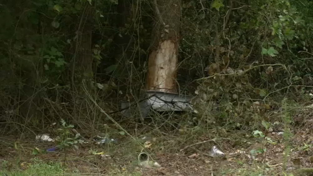 Boy killed, others injured in Wake County crash; driver charged