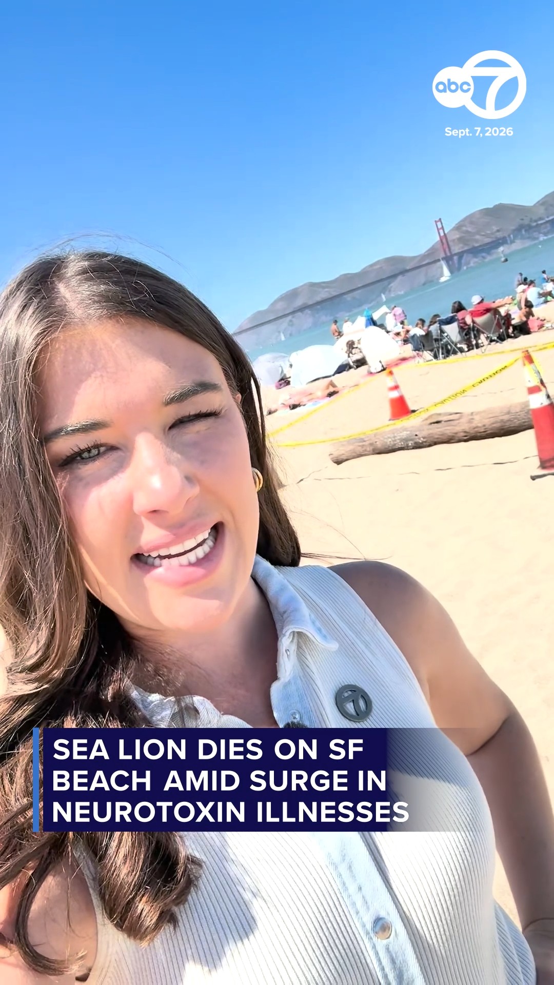Sea Lion dies on SF beach amid surge in neurotoxin illnesses