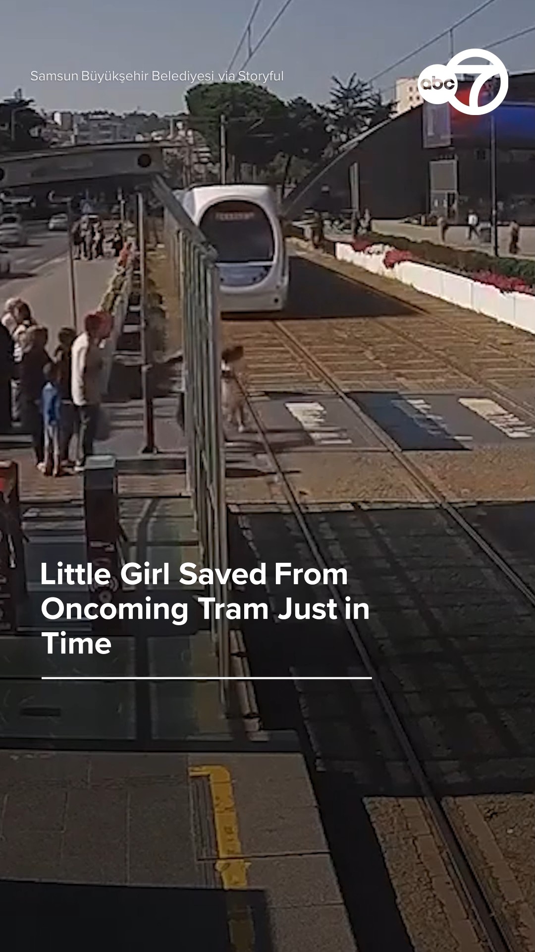 Little girl saved from oncoming tram just in time  
