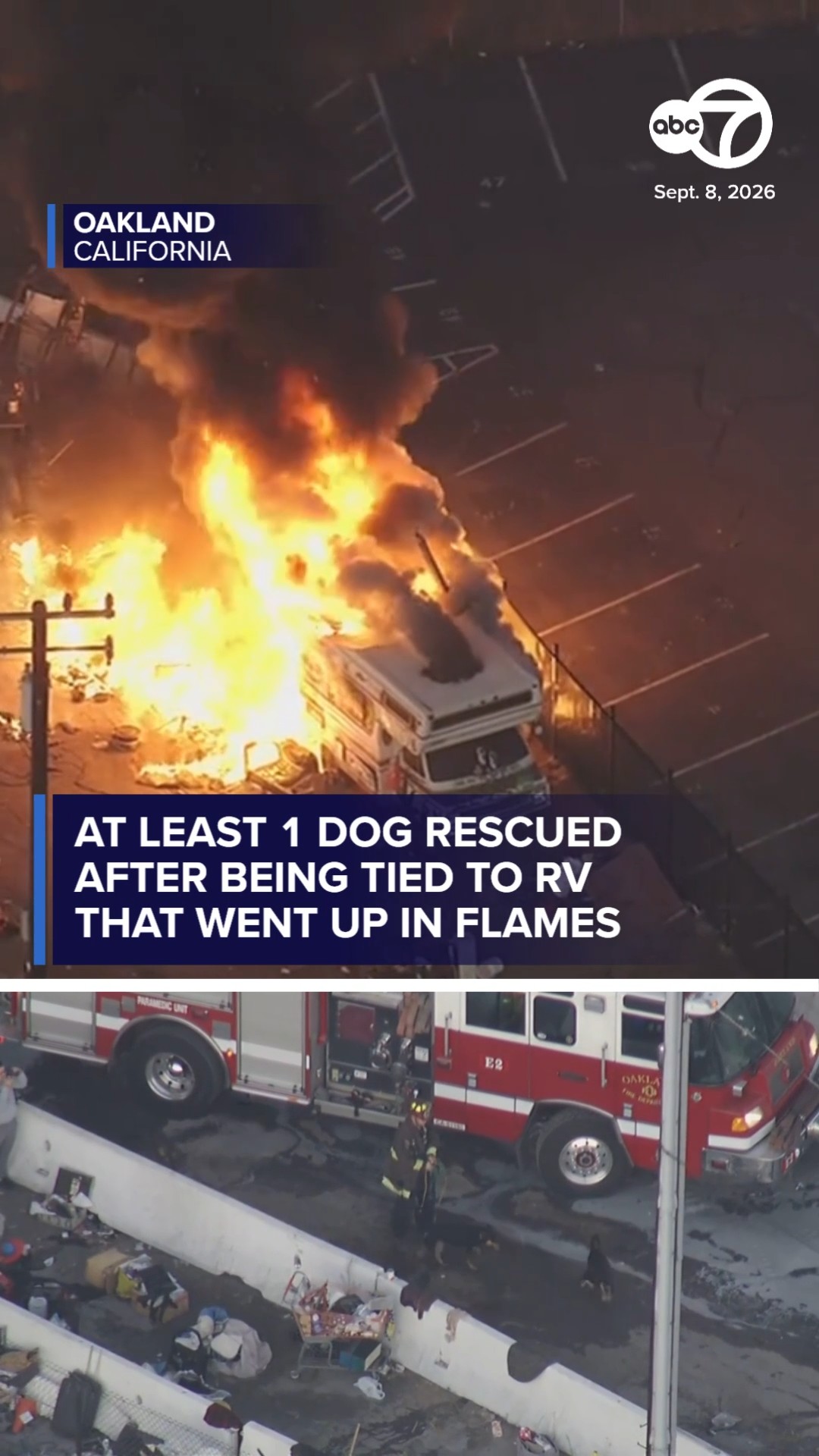 At least 1 dog rescued after being tied to RV that went up in flames