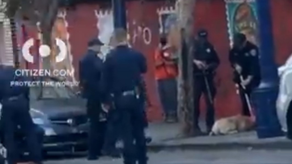Person seriously injured in Tenderloin dog attack; dog dead: SFPD