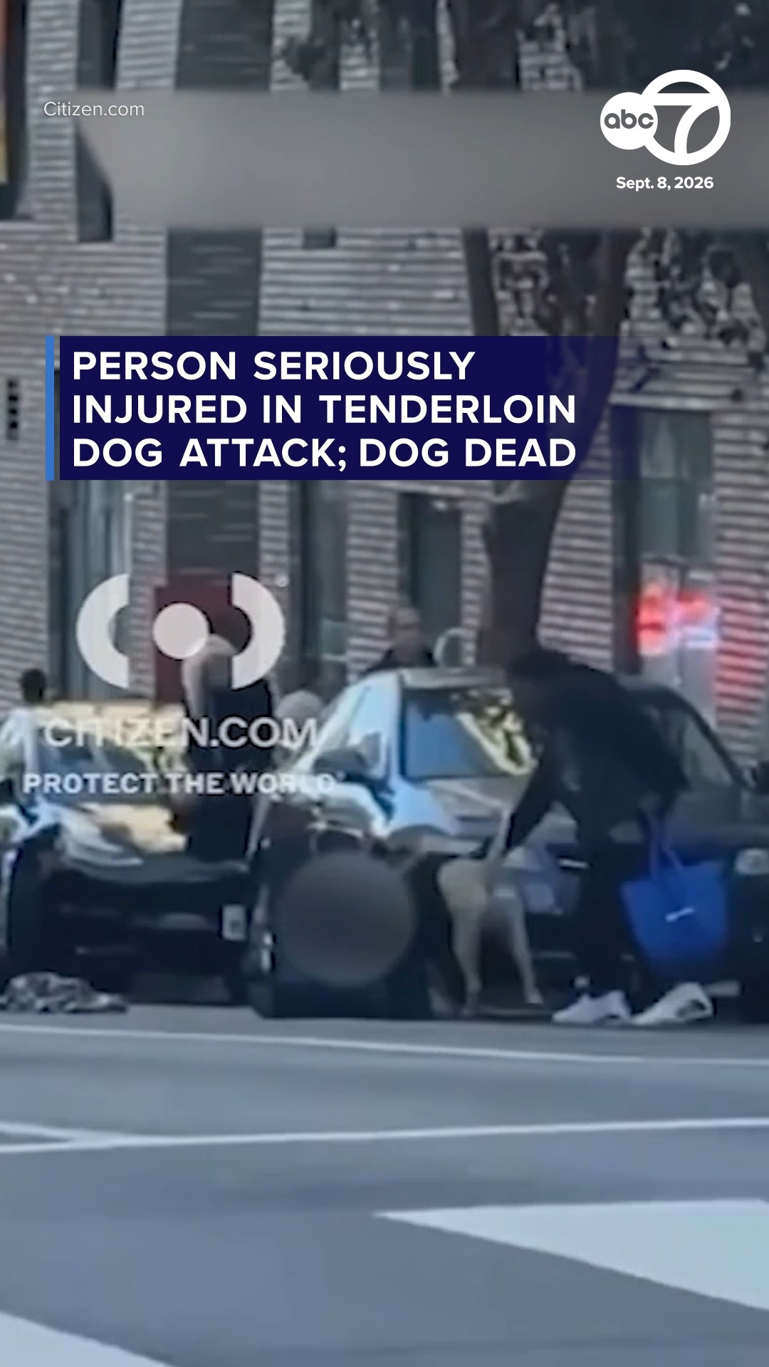 Person seriously injured in Tenderloin dog attack; dog dead