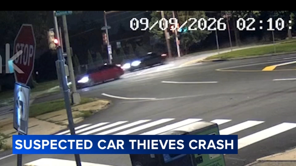 Video shows car thieves crash while fleeing from police