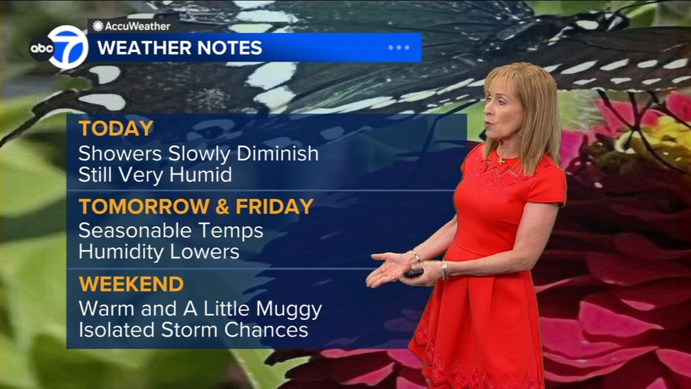 ABC7 AccuWeather Forecast