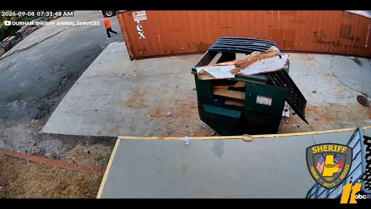 Surveillance video shows a person of interest in the case