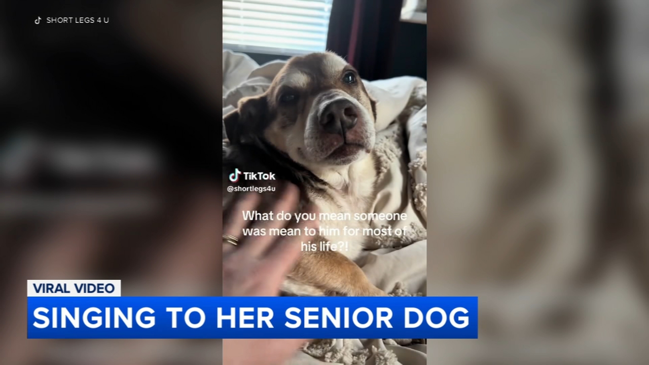South Jersey woman's serenade to her senior rescue dog becomes viral hit
