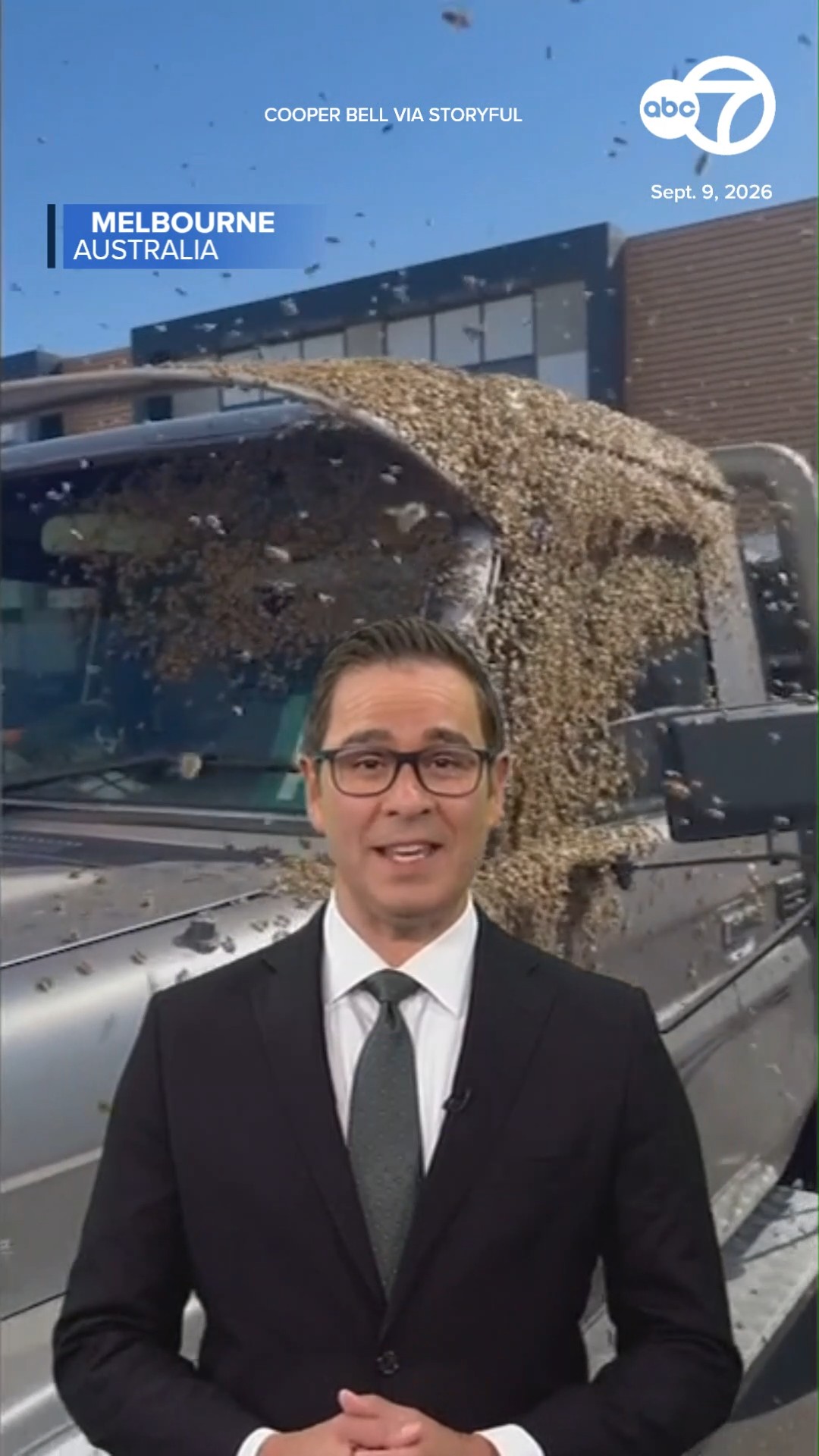 Bees swarm vehicle in Australia