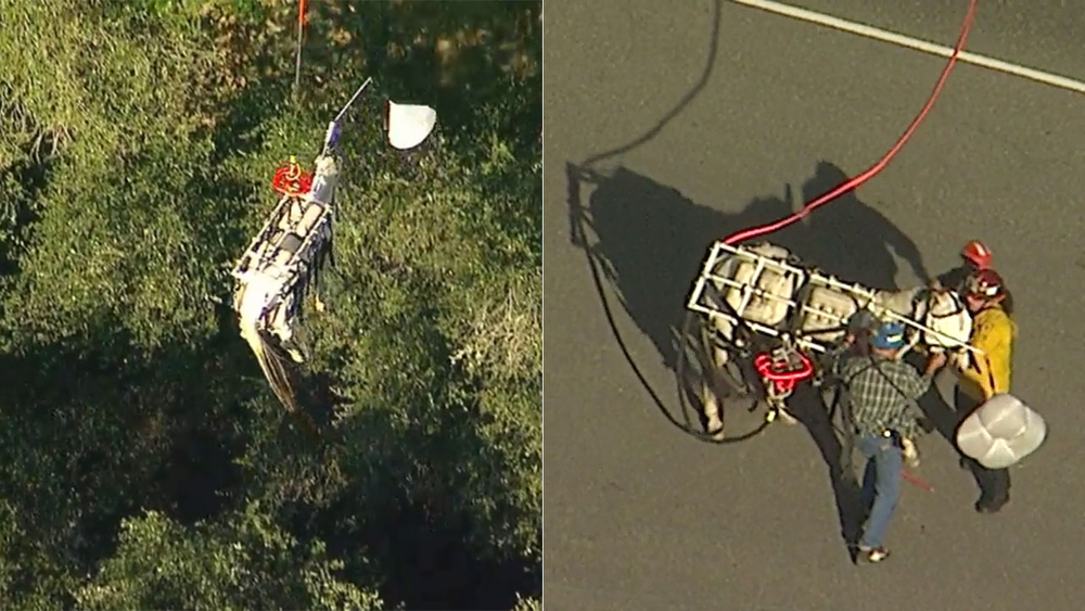 Rescue crews hoist horse stuck 300 feet down ravine in Angelus Oaks