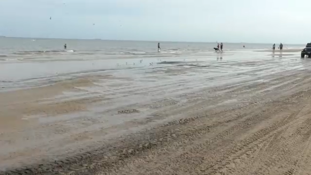 Red tide conditions detected in Bolivar Peninsula waters: TPWD