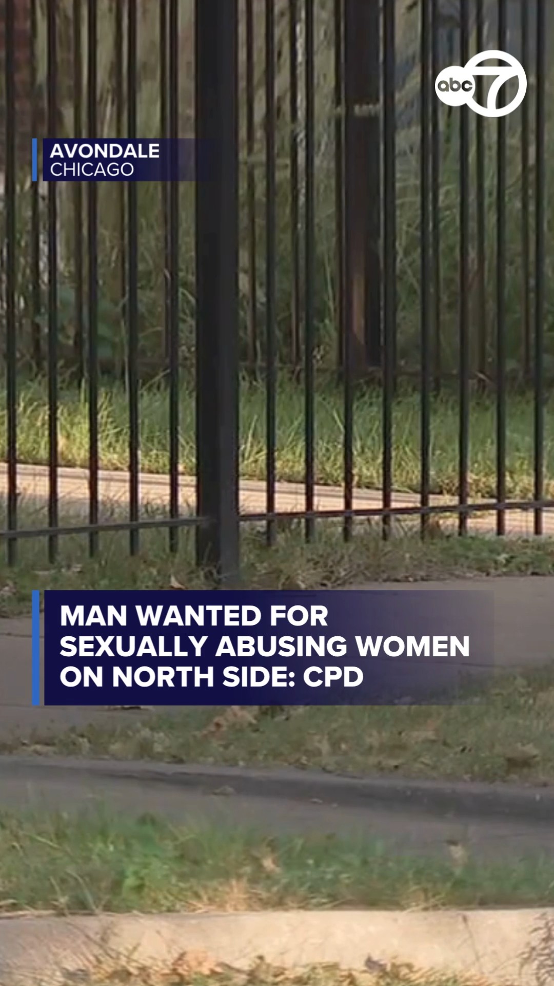 Man wanted for sexually abusing women on North Side: CPD