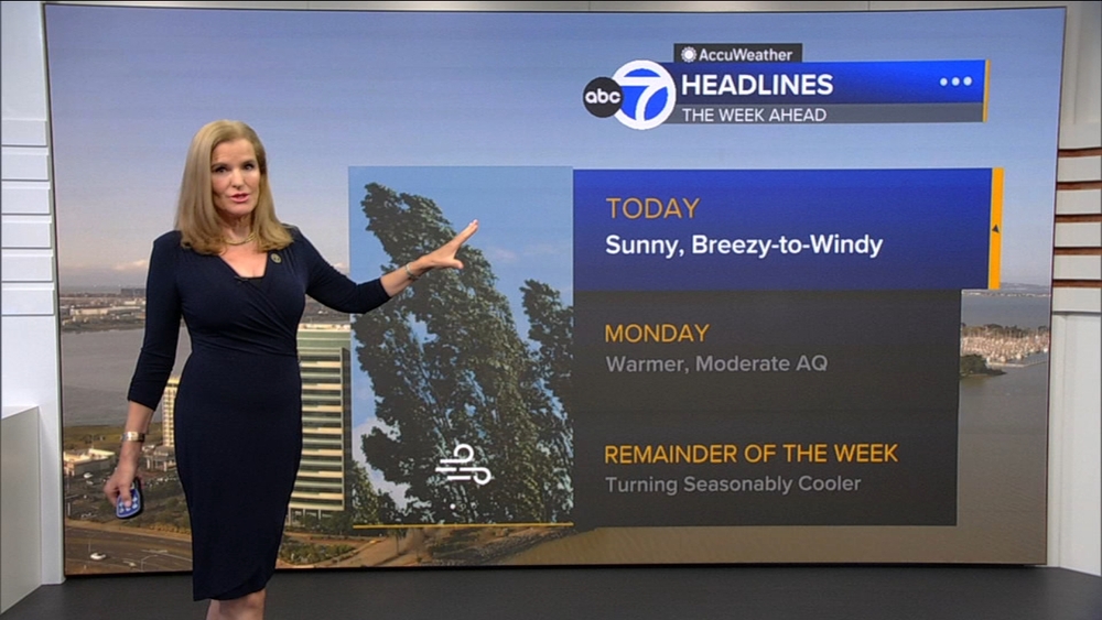 AccuWeather Forecast: Sunny, mild