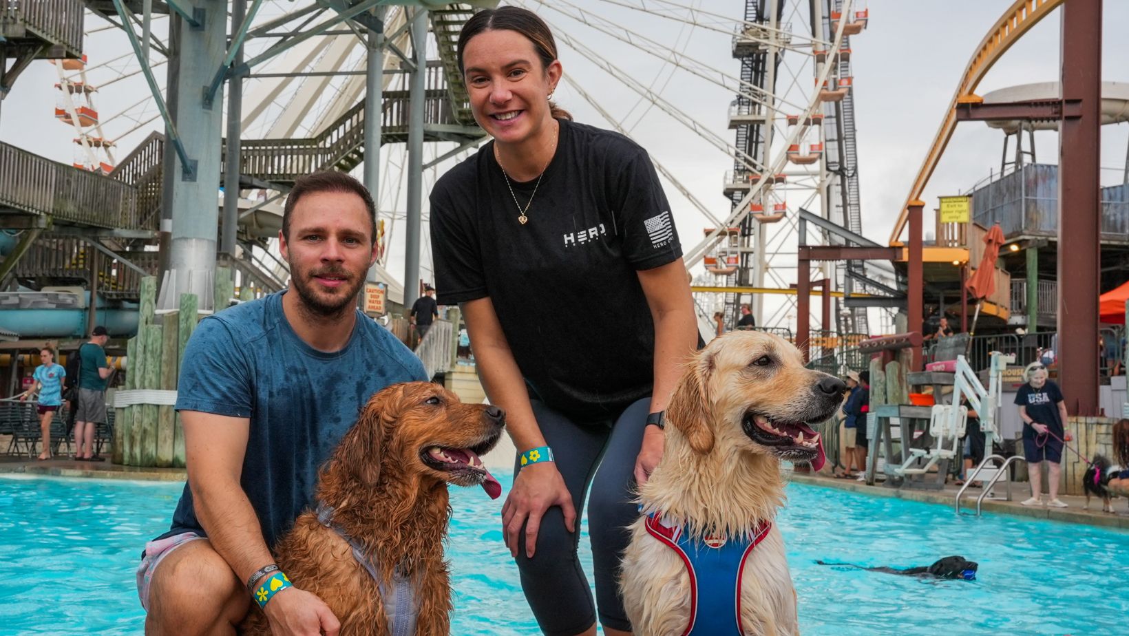 Wildwood hosts a puppy pool party at Raging Waters Water Park