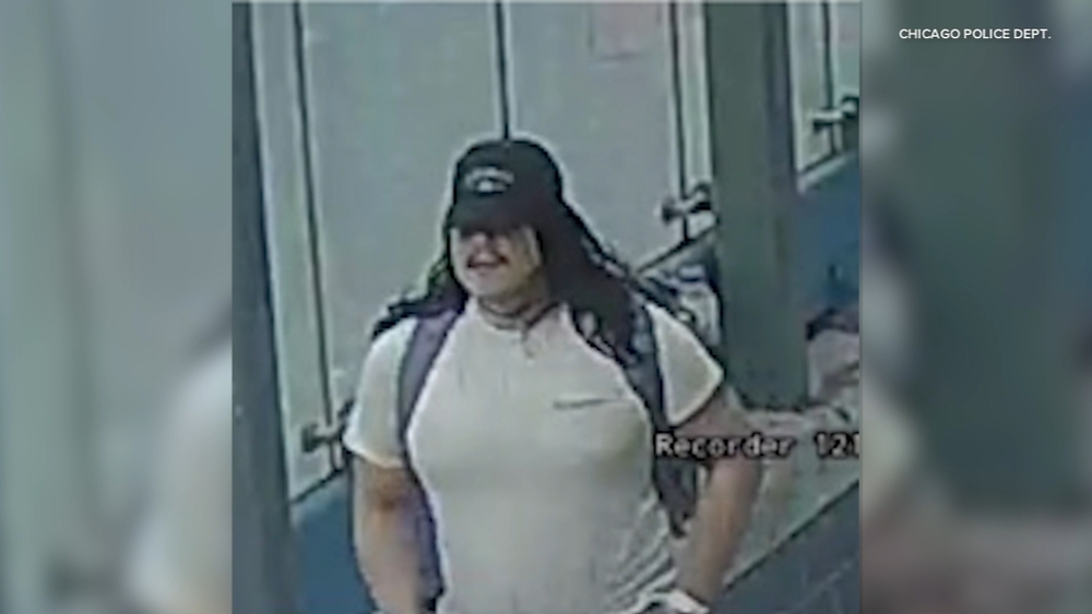 CPD issues alert on sexual abuse at CTA Blue Line station
