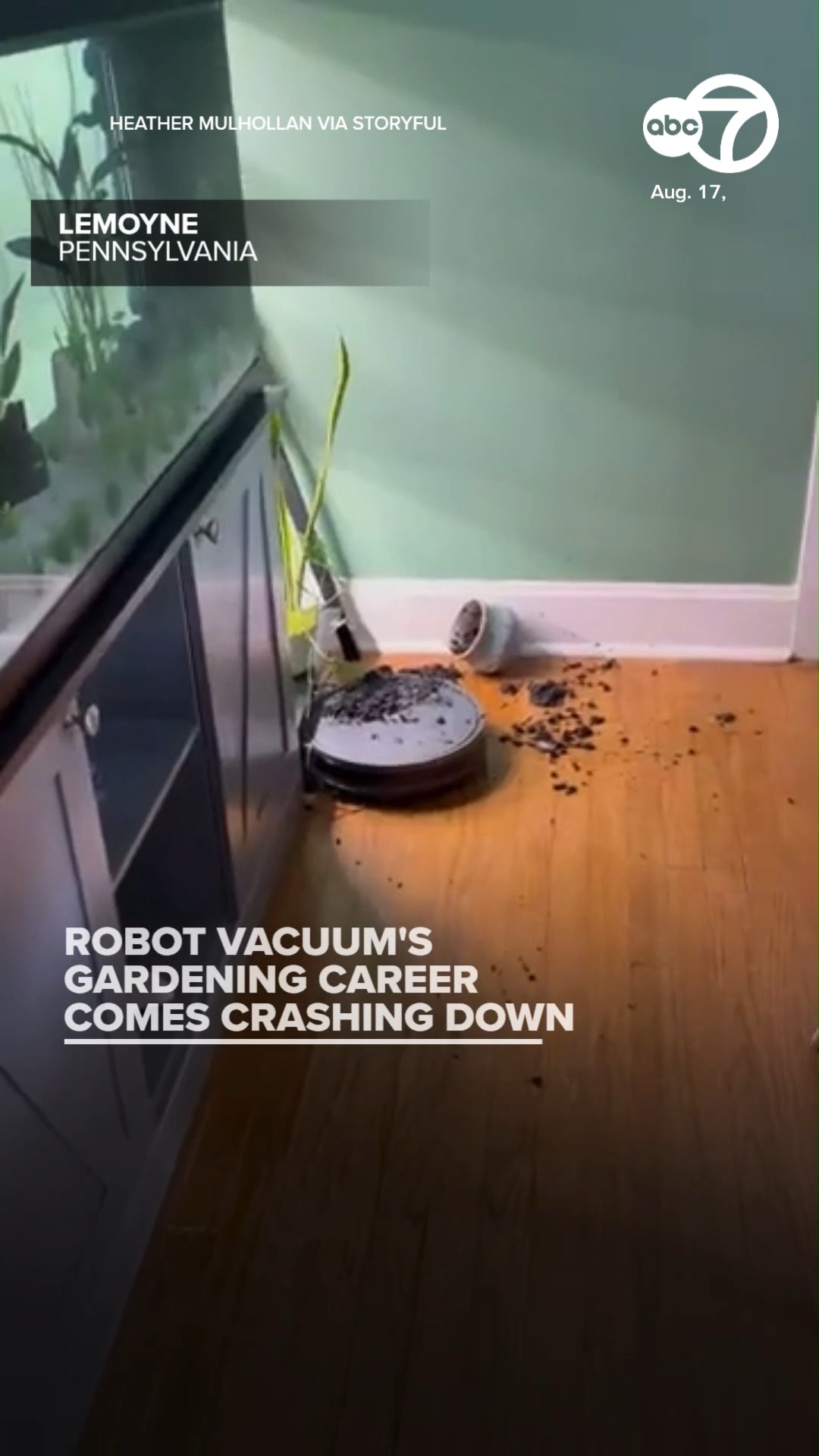 Robot Vacuum's Gardening Career Comes Crashing Down