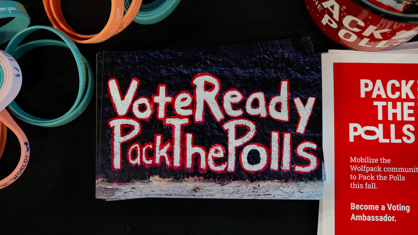 New voting site leaves NC State students with a longer walk -- and a divided elections board