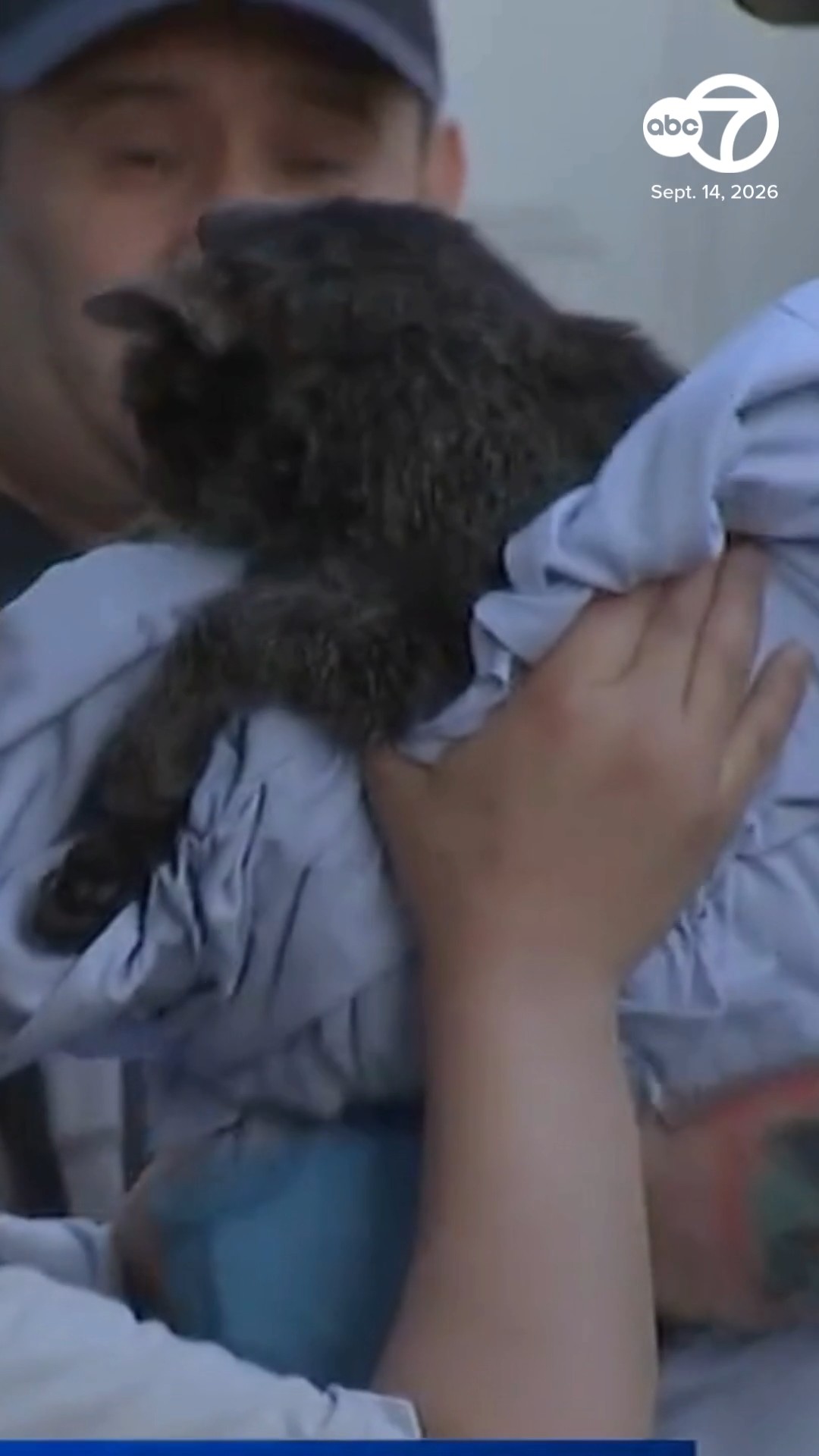 3 hurt in Portage Park house fire; CFD rescues family cat